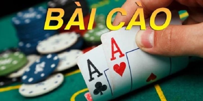 Thông tin cơ bản về Bài cào