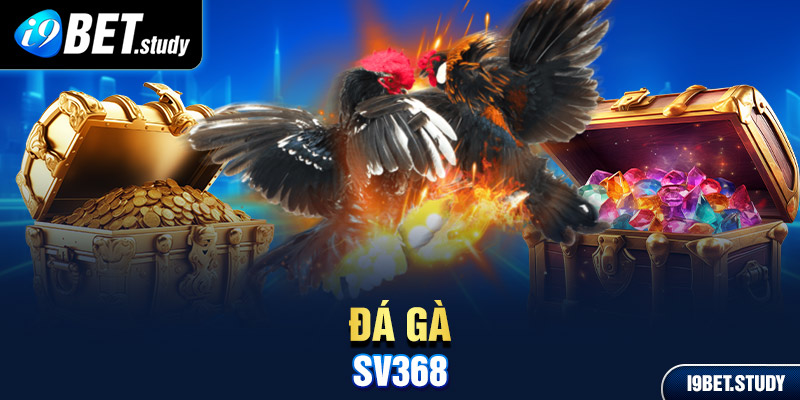 đá gà sv368