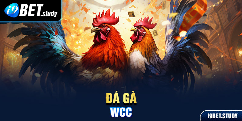 đá gà WCC